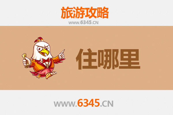安阳龙安旅游民宿全攻略：古韵与现代的完美交融